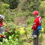 Motociclista muere tras choque frontal con camión en Los Chiles

 – El nacional cr
