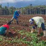 Laura Fernández será “la mejor presidenta de Costa Rica después de Juanito Mora”, dice Rodrigo Chaves

 – El nacional cr